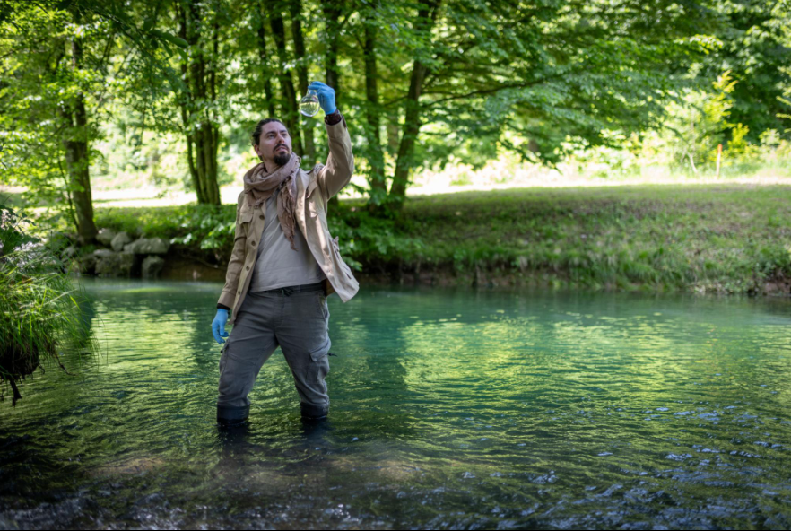 Liberia forest ecosystem